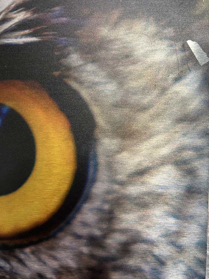 Sprekende foto van de ogen van een uil