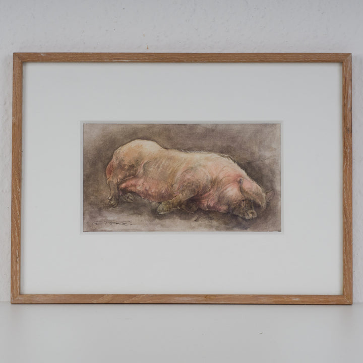 Leuke aquarel van een slapend varken