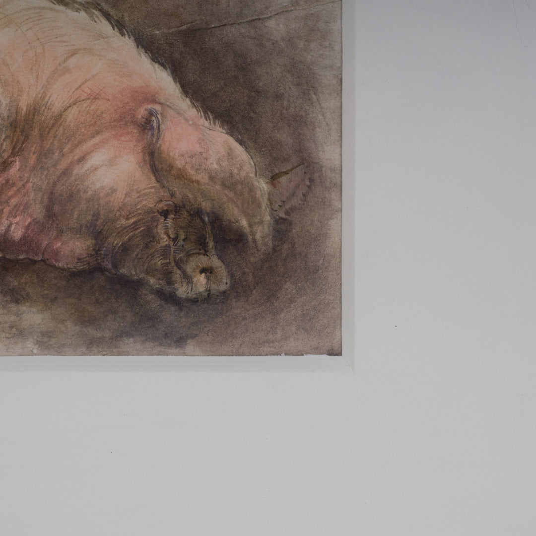 Nice watercolor of a sleeping pig