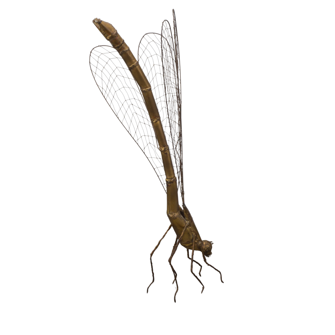Vintage image of a dragonfly by Daniel Dhaeseleer