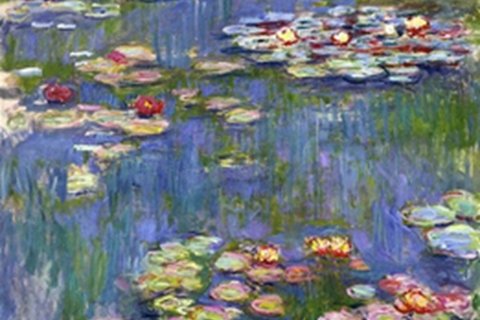 Kunstfilm 'van Monet tot Matisse' - De Tuin Der Kunsten