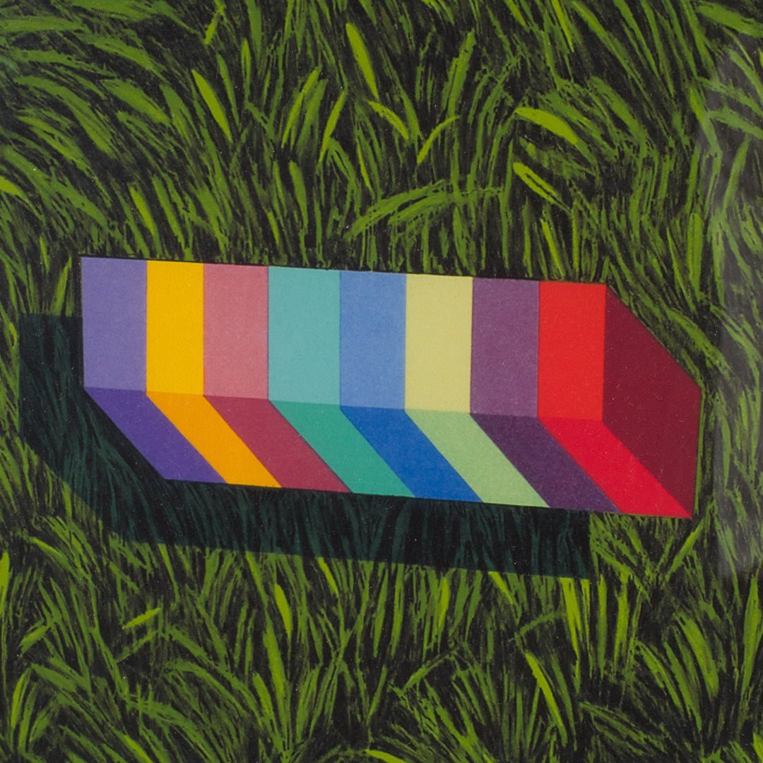 Elias – Surreal Lithograph with Green Van | 69 x 49 cm (framed) 