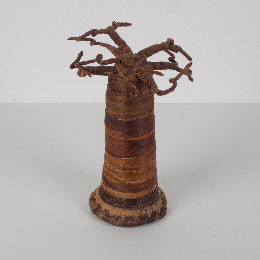 Decorative Baobab Tree – Sculptural natural object – 18 x 18 x 27 cm