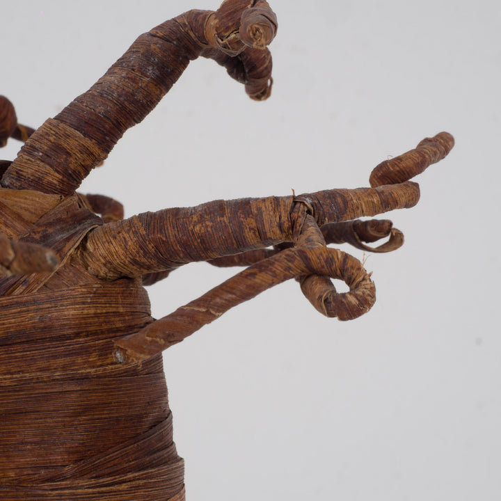 Decorative Baobab Tree – Sculptural natural object – 18 x 18 x 27 cm