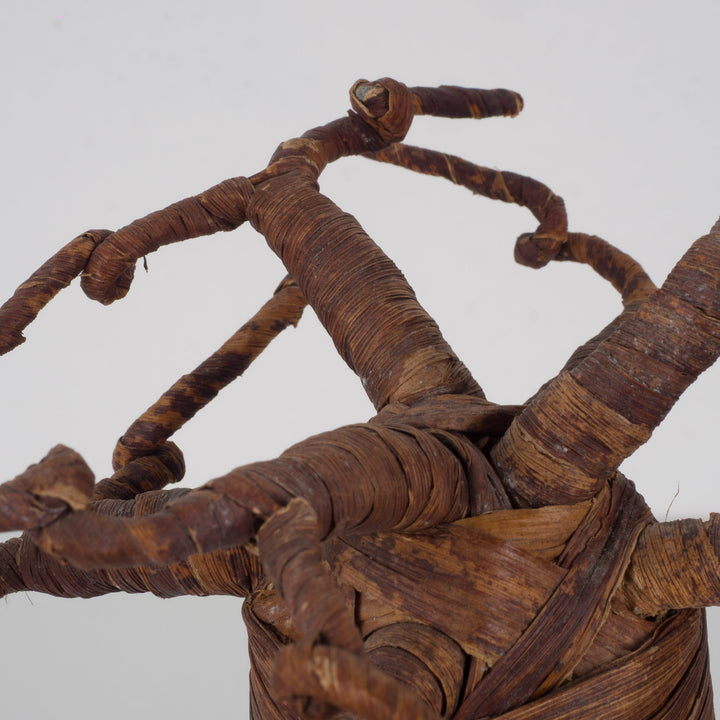 Decorative Baobab Tree – Sculptural natural object – 18 x 18 x 27 cm