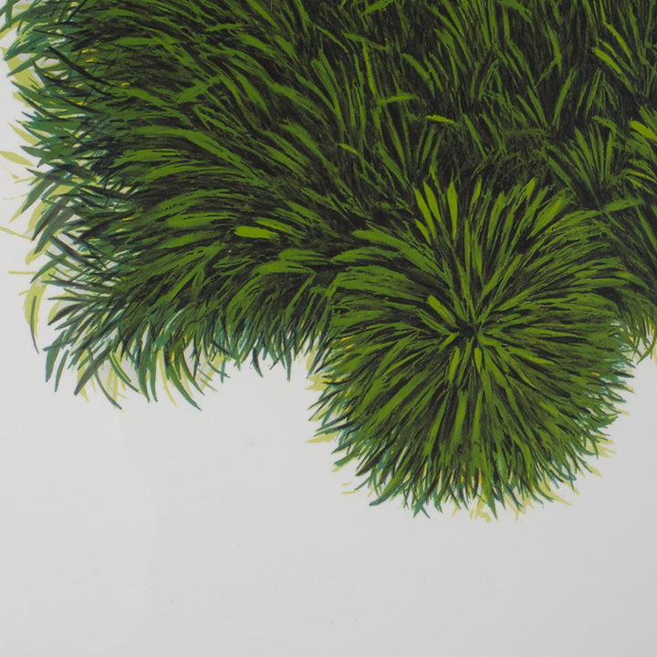 Elias – Surreal Lithograph with Green Van | 69 x 49 cm (framed) 