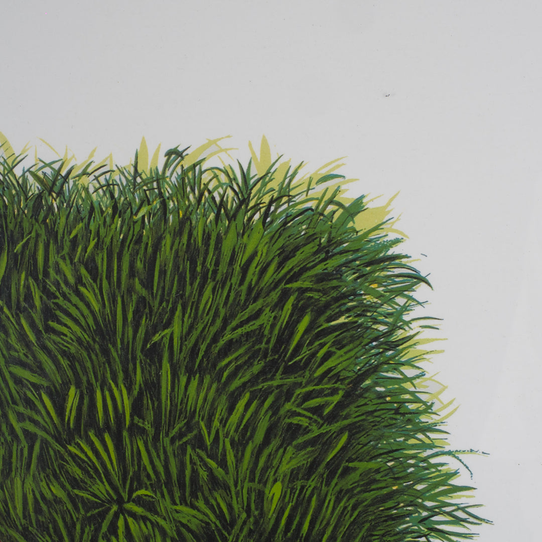 Elias – Surreal Lithograph with Green Van | 69 x 49 cm (framed) 