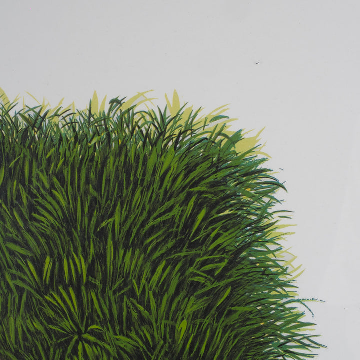 Elias – Surreal Lithograph with Green Van | 69 x 49 cm (framed) 