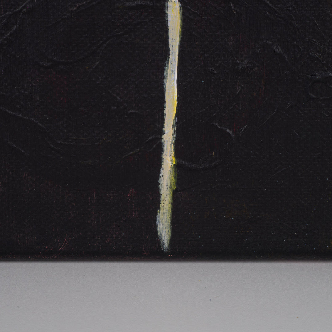 Schilderij 'Witte Bloei in de Stilte' – JP Terryn (18,5 x 24 cm)