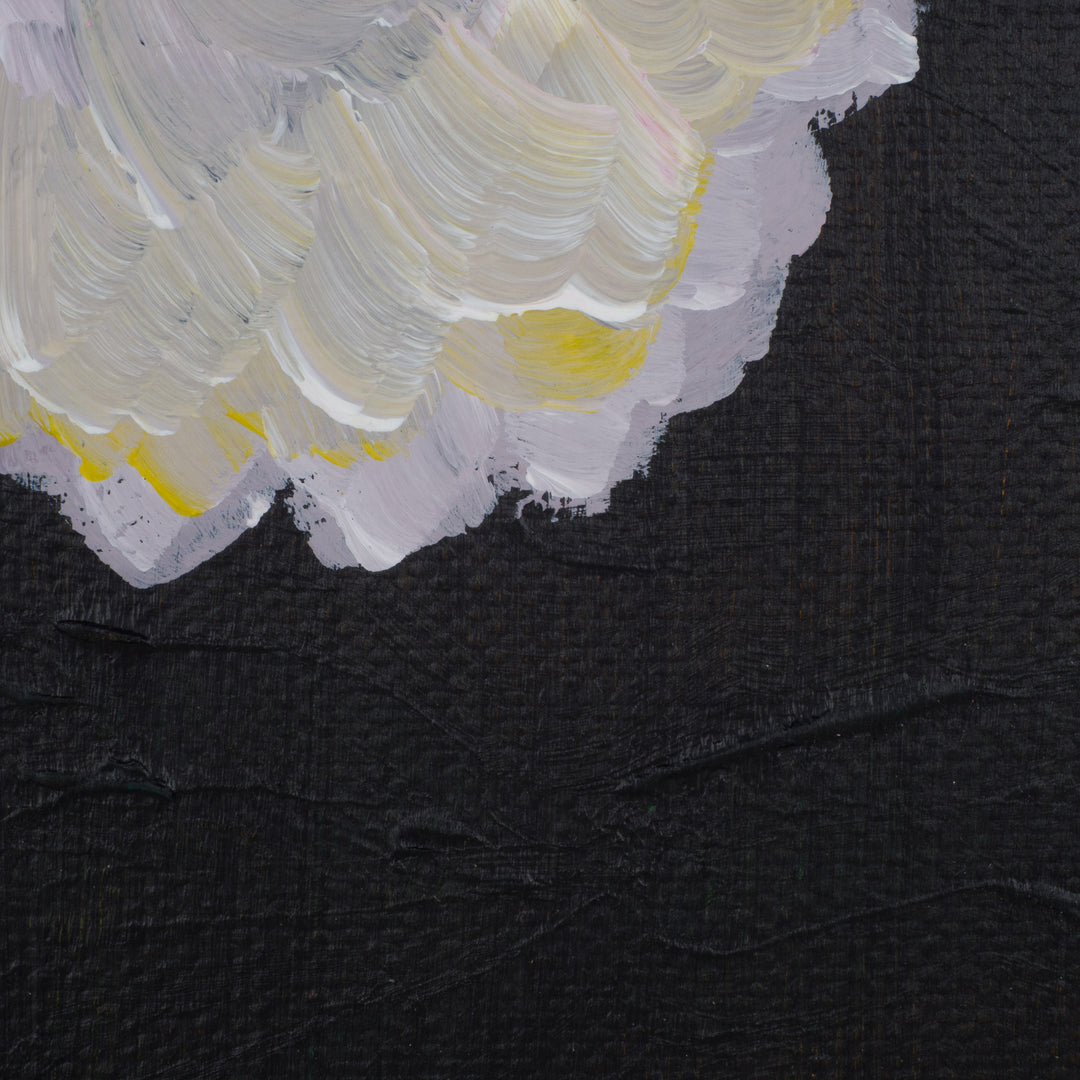 Schilderij 'Witte Bloei in de Stilte' – JP Terryn (18,5 x 24 cm)