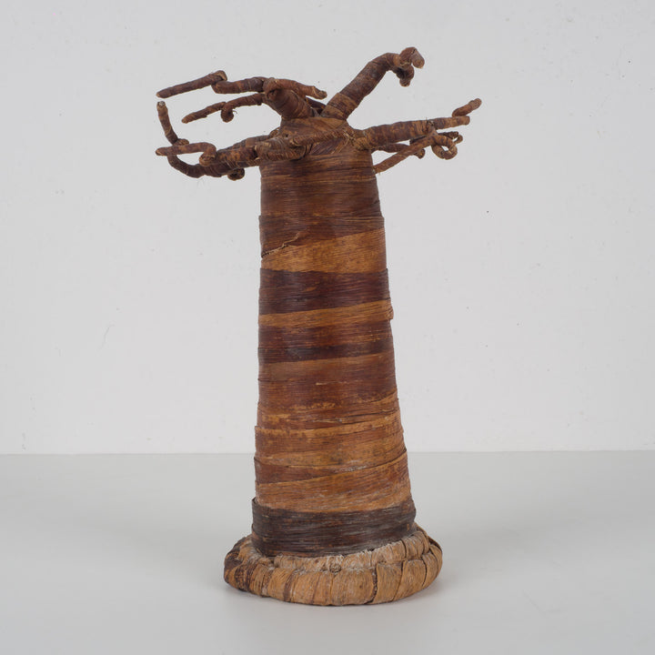 Decorative Baobab Tree – Sculptural natural object – 18 x 18 x 27 cm