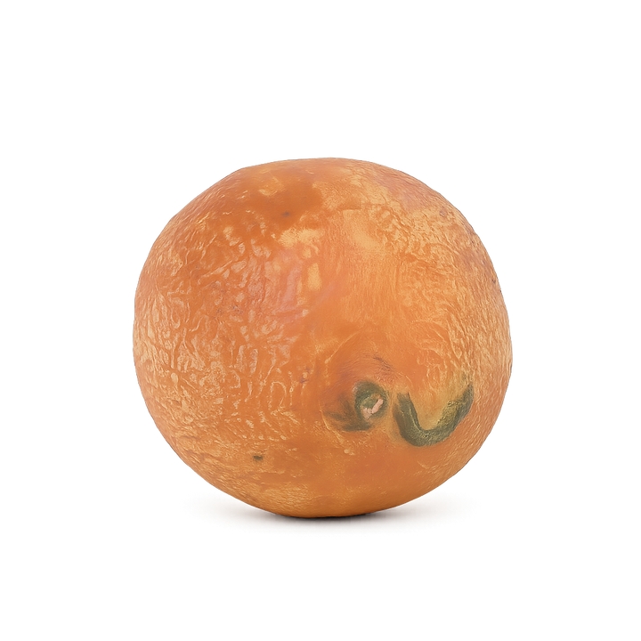Decoratieve sculptuur van een citrusvrucht – steen of gips – 15 x 12 x 11 cm