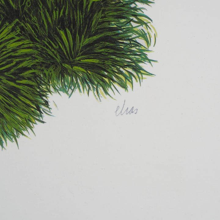 Elias – Surreal Lithograph with Green Van | 69 x 49 cm (framed) 