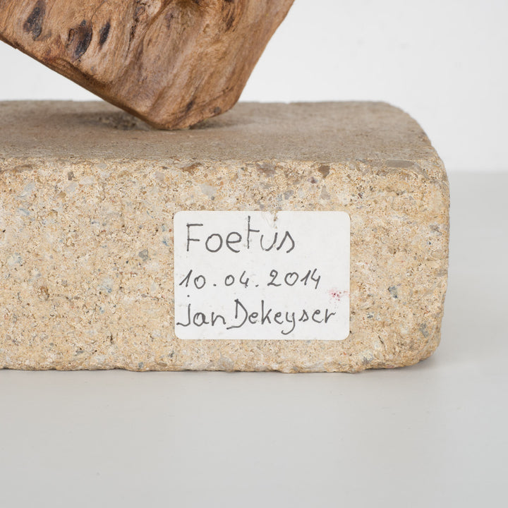 Beeld 'Foetus' door Jan Dekeyser uit 2014