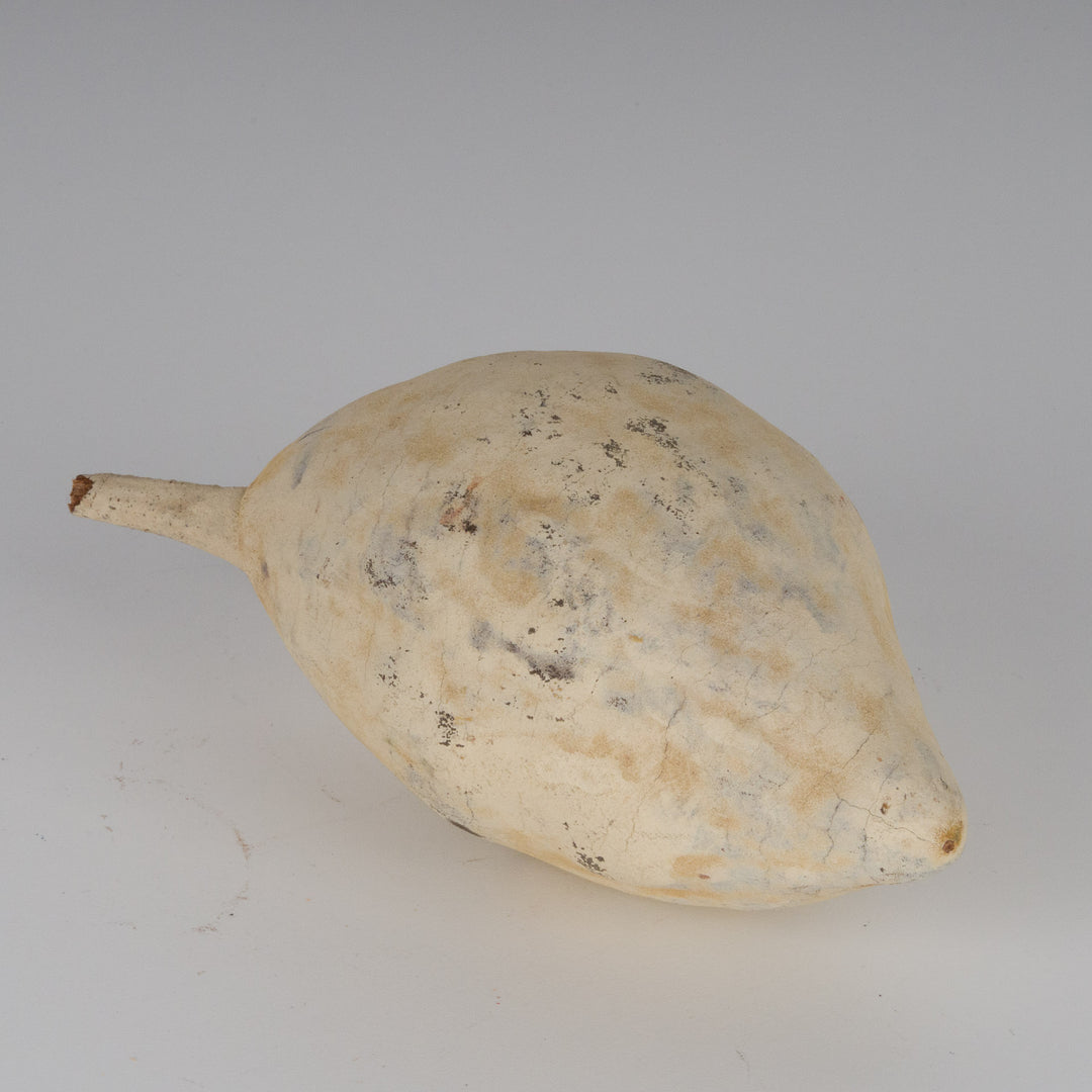 A beautiful beige gourd