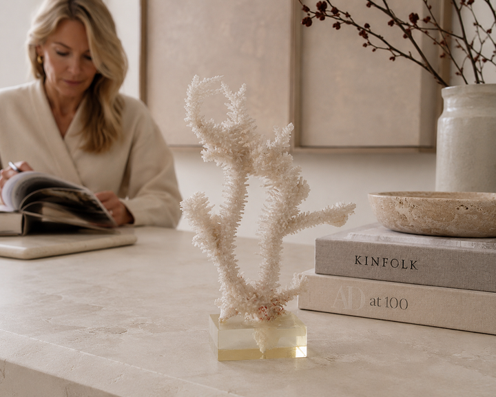 Decoratief Wit Acropora-Koraal op Heldere Voet in Plexi – 18 × 12 × 28 cm