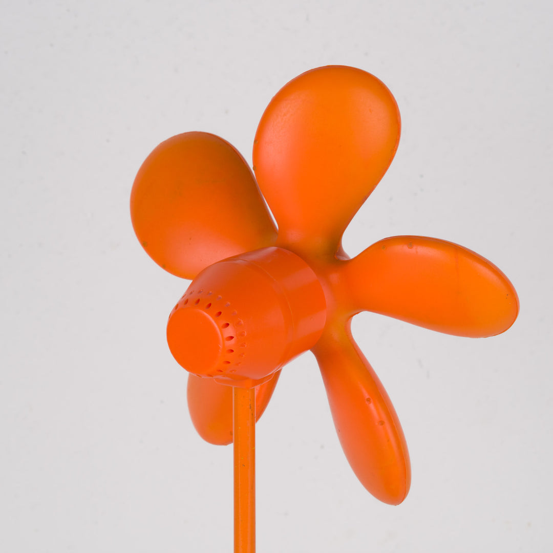 Fun orange fan