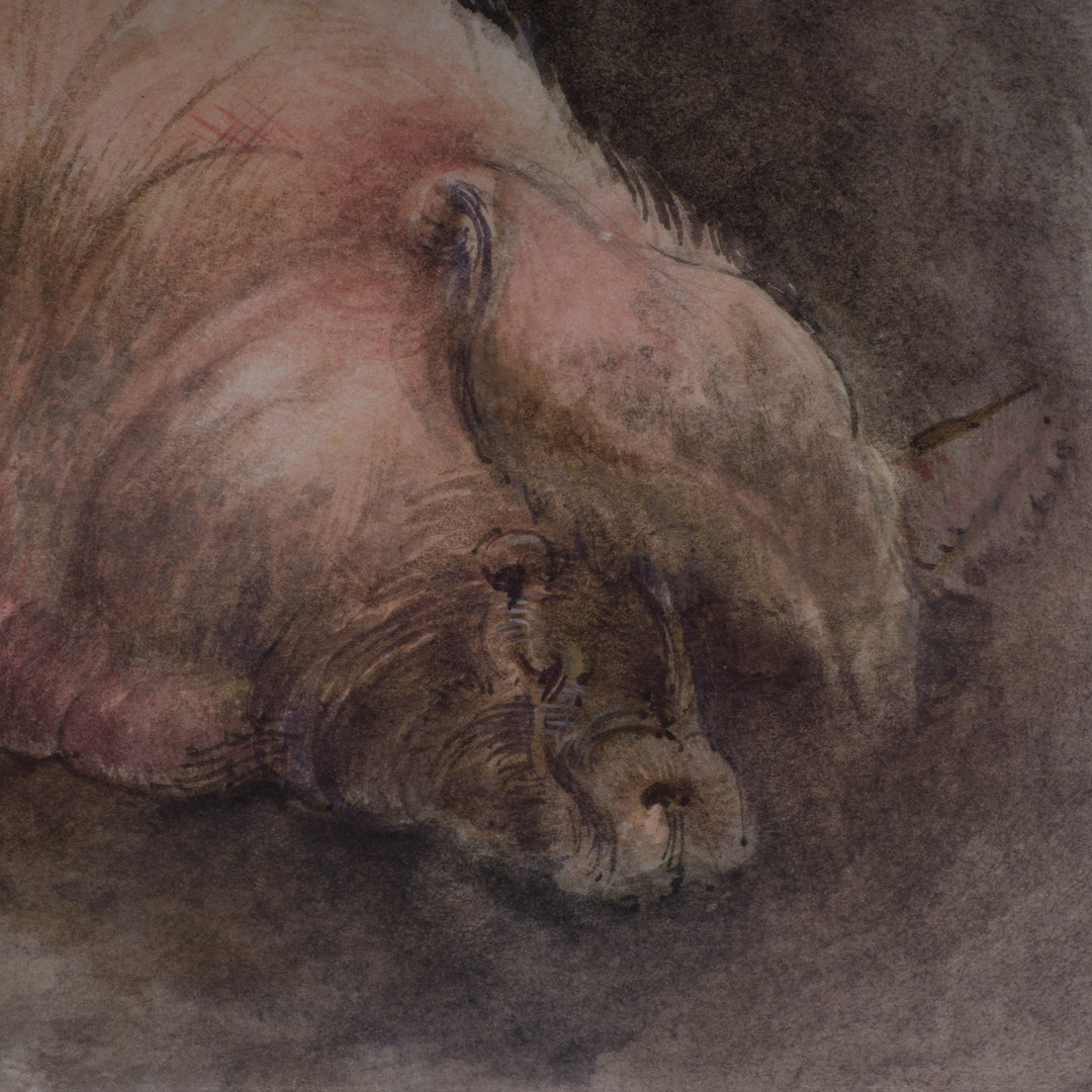 Nice watercolor of a sleeping pig