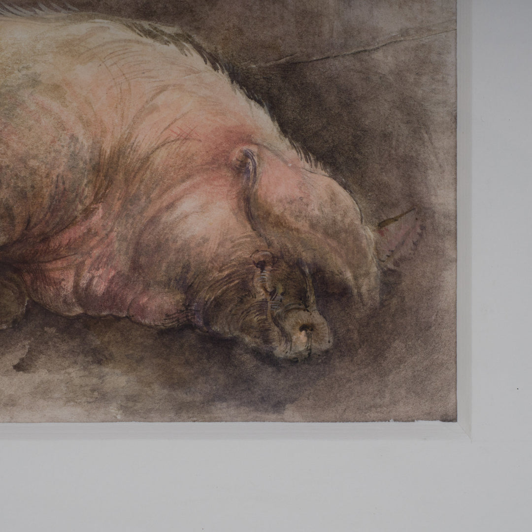 Nice watercolor of a sleeping pig