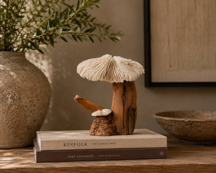 A sculpture of coral mushroom on driftwood