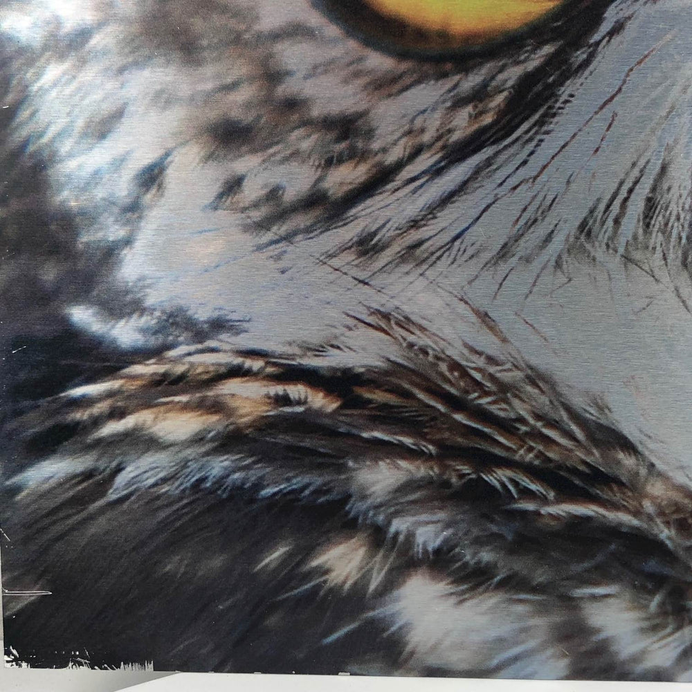 Sprekende foto van de ogen van een uil - De Tuin Der Kunsten